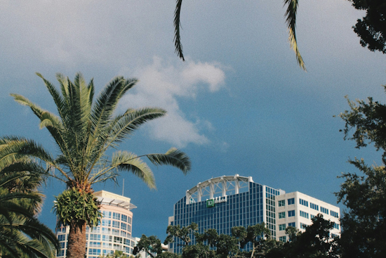 Orlando Braces for Strong Winds and Heavy Rainfall, Tropical Storm Debby Influences Unsettled Weather Conditions