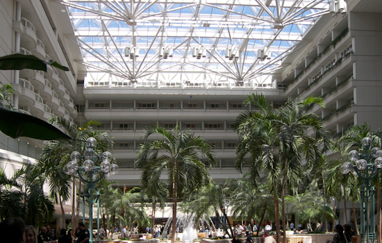 Orlando International Tops Florida Airports in TSA Complaints, Study Finds