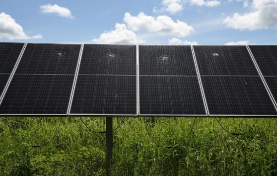 Orlando Man Indicted in Bomb Threat Spree, Accused of Damaging Solar Energy Facility in Anti-Israel Crusade