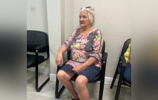 Palm Beach Sheriff's Office Issues Urgent Call for Help in Search for Missing 69-Year-Old Denise Lamb