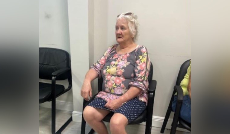 Palm Beach Sheriff's Office Issues Urgent Call for Help in Search for Missing 69-Year-Old Denise Lamb