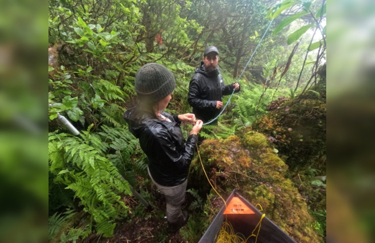 Partnerships Nurture Kaua‘i Avian Malaria Fight, $644K in Grants Bolster Conservation Efforts for Hawaiian Honeycreepers