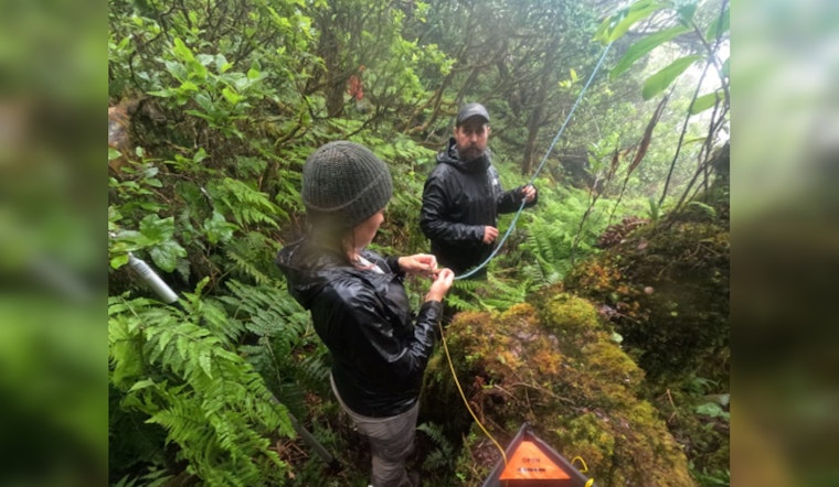 Partnerships Nurture Kaua‘i Avian Malaria Fight, $644K in Grants Bolster Conservation Efforts for Hawaiian Honeycreepers