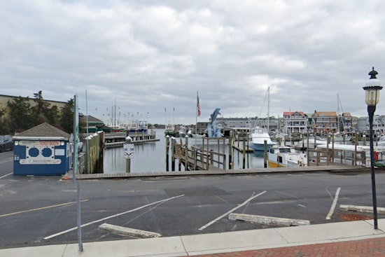 Peaceful Giants Close to Shore, Basking Sharks Spotted off Cape May and Wildwood Coasts