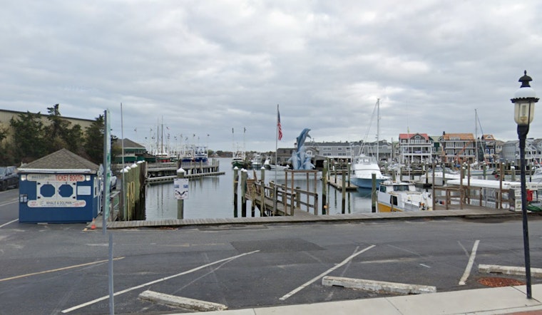 Peaceful Giants Close to Shore, Basking Sharks Spotted off Cape May and Wildwood Coasts