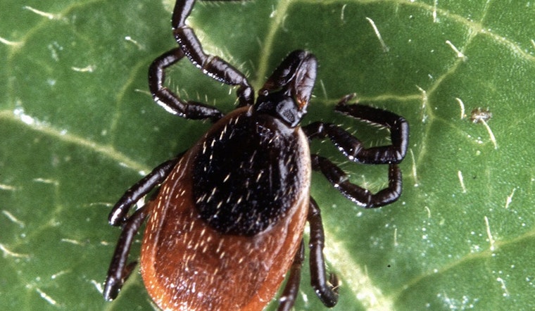 Pennsylvania Health Officials Address Lyme Disease Surge at Memorial Lake State Park