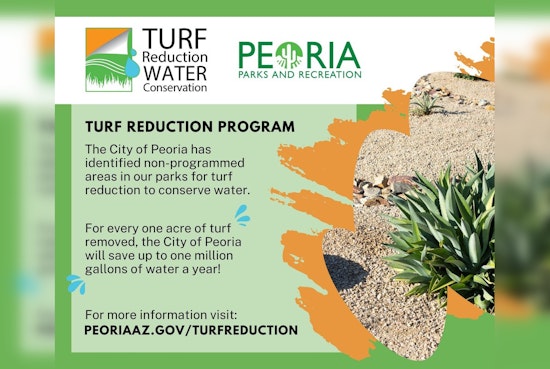 Peoria Embarks on Eco-Friendly Park Transformation, Swapping Grass for Drought-Tolerant Landscaping