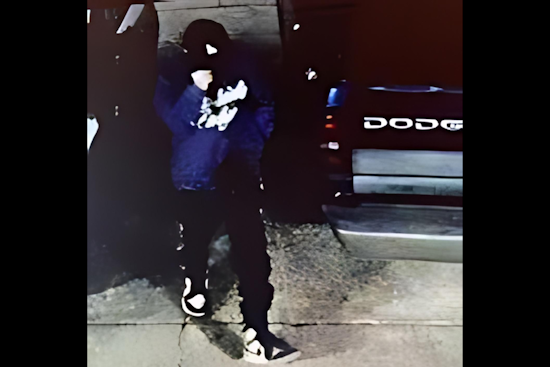 VIDEO: Petaluma Neighborhoods on Alert After Spate of Vehicle Burglaries and Beloved Pet Bunny Stolen