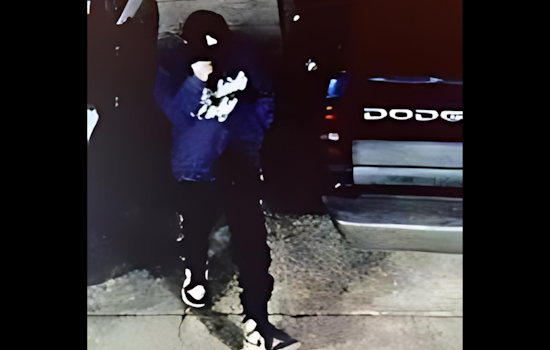 VIDEO: Petaluma Neighborhoods on Alert After Spate of Vehicle Burglaries and Beloved Pet Bunny Stolen
