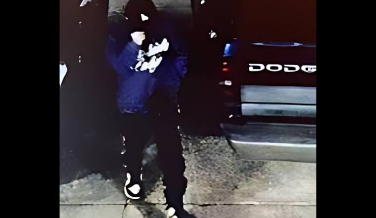 VIDEO: Petaluma Neighborhoods on Alert After Spate of Vehicle Burglaries and Beloved Pet Bunny Stolen
