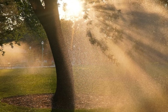 Philadelphia Braces for Mixed Weather with Sunny Skies, Possible Showers, and Thunderstorms