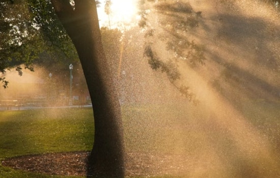 Philadelphia Braces for Mixed Weather with Sunny Skies, Possible Showers, and Thunderstorms