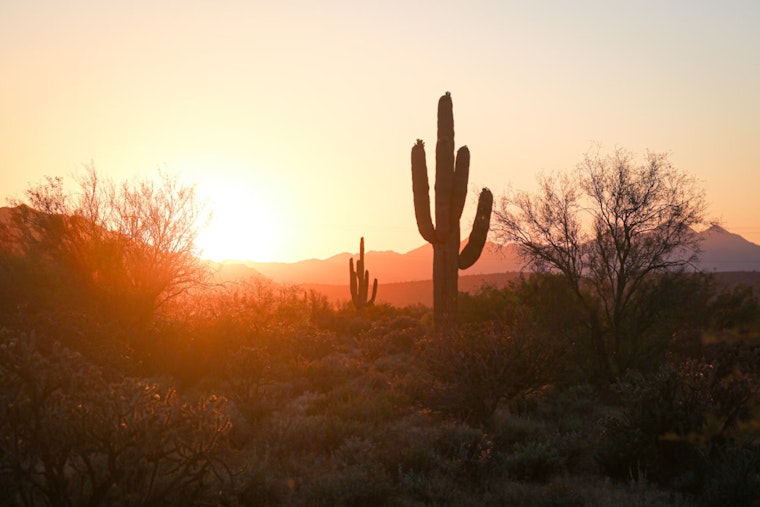 Phoenix Braces for Scorching Week with Temperatures Expected to Hit 114 Degrees