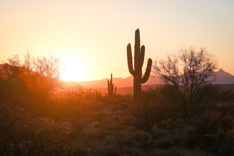 Phoenix Braces for Sunny Skies and Heat Wave with Occasional Chance of Rain