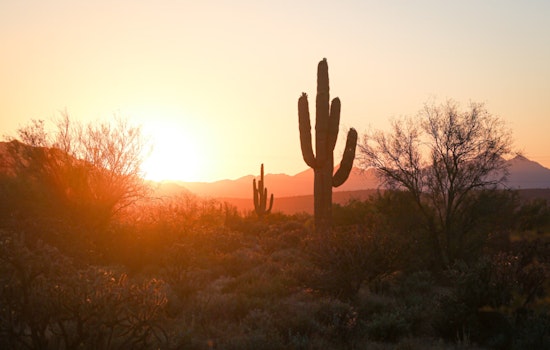 Phoenix Braces for Sunny Skies and Heat Wave with Occasional Chance of Rain