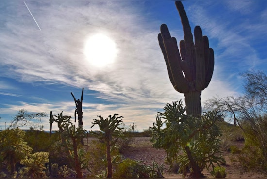 Phoenix Residents Warned of Extreme Heat and Possible Thunderstorms This Week