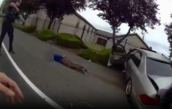 Pierce County Drive-By Shooting Leads to High-Speed Chase, Suspects Arrested and Charged