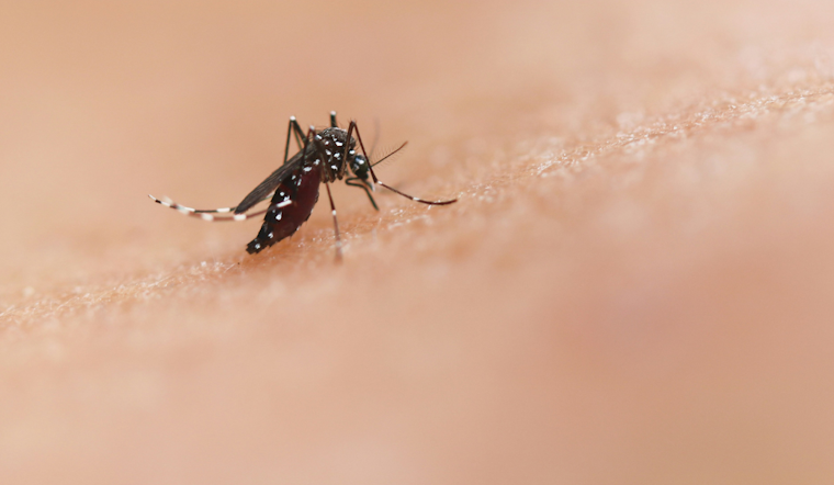 Pittsburgh and Surrounding Boroughs Brace for West Nile Virus Mosquito Treatments Starting August 19