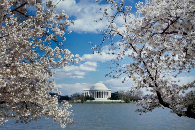 Pleasant Week Ahead with Sunny Skies in Washington D.C. Before Weekend Showers Strike