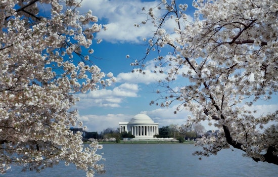 Pleasant Week Ahead with Sunny Skies in Washington D.C. Before Weekend Showers Strike