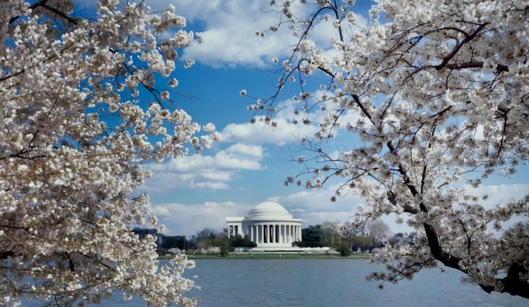 Pleasant Week Ahead with Sunny Skies in Washington D.C. Before Weekend Showers Strike