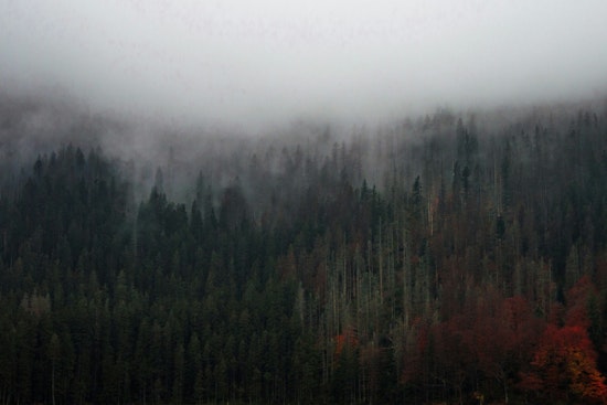 Portland Air Quality Advisory Extended Amid Wildfire Smoke, Residents Urged to Limit Outdoor Exposure