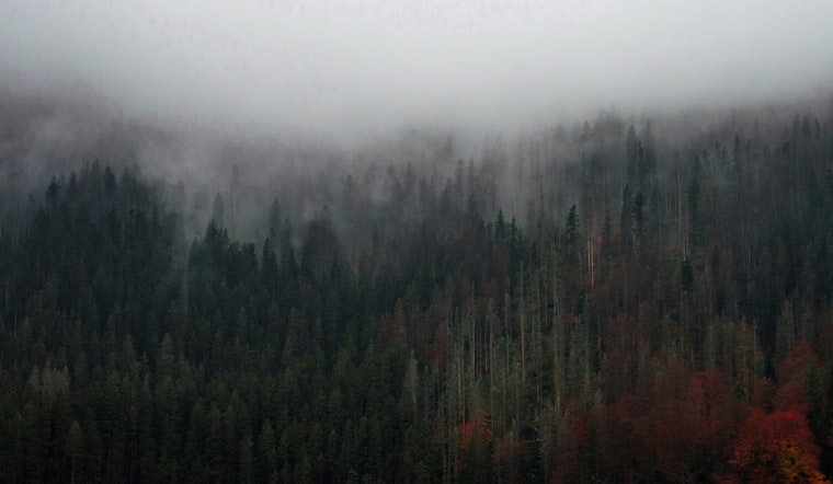 Portland Air Quality Advisory Extended Amid Wildfire Smoke, Residents Urged to Limit Outdoor Exposure