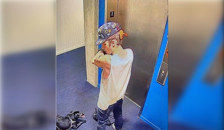 Portland Man Accused of Animal Abuse Pleads Not Guilty as Search for Missing Dog Continues