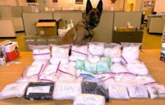 Portland Police Score Major Victory with Historic Interstate 5 Drug Bust
