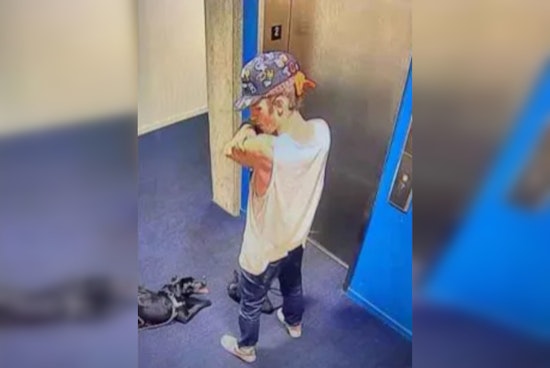 Portland Police Seek Public's Help in Identifying Suspect Accused of Animal Cruelty on NE Holladay Street