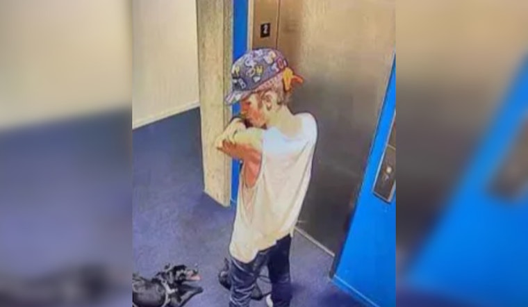 Portland Police Seek Public's Help in Identifying Suspect Accused of Animal Cruelty on NE Holladay Street