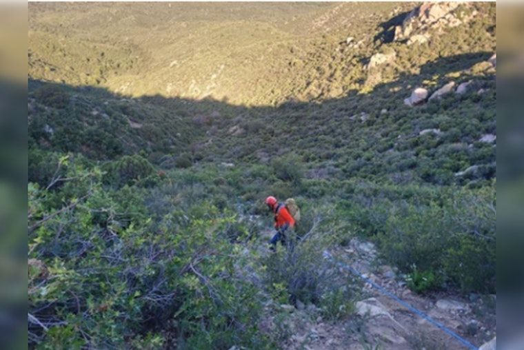 Prescott Community Mourns as Local Woman Perishes in Mountain Road Car Accident