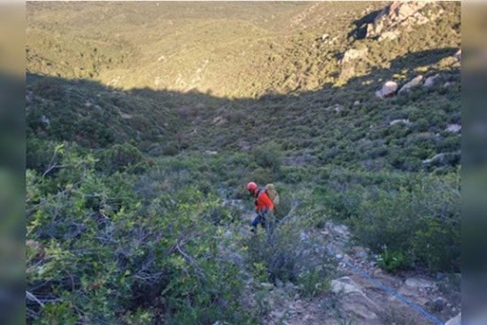 Prescott Community Mourns as Local Woman Perishes in Mountain Road Car Accident
