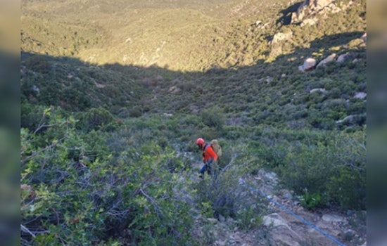 Prescott Community Mourns as Local Woman Perishes in Mountain Road Car Accident