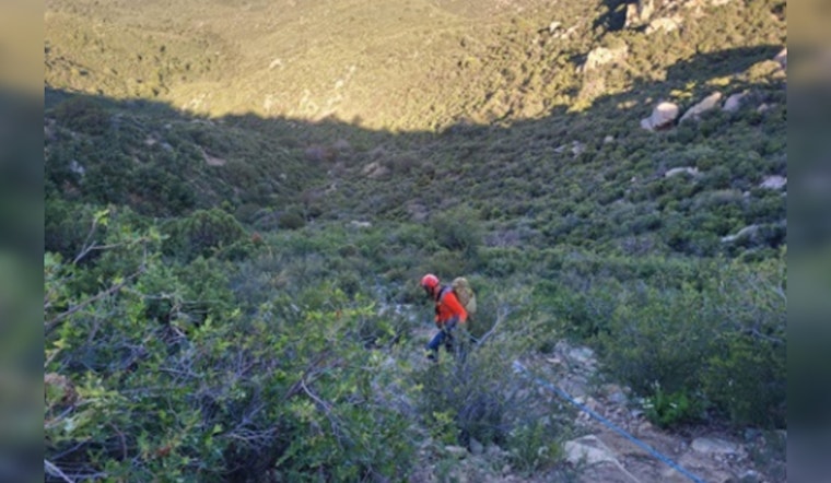 Prescott Community Mourns as Local Woman Perishes in Mountain Road Car Accident