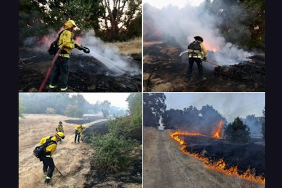 Quick-Acting Firefighters Contain 1-Acre Blaze Near Stevens Creek in Mountain View, No Injuries Reported