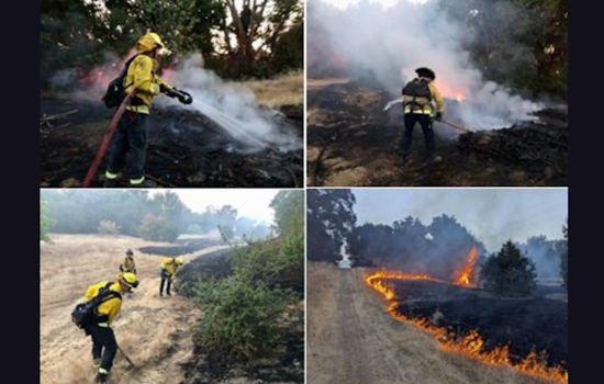 Quick-Acting Firefighters Contain 1-Acre Blaze Near Stevens Creek in Mountain View, No Injuries Reported