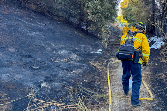 Quick-Response Firefighters Subdue Series of Blazes Along Highway 17 Near Campbell
