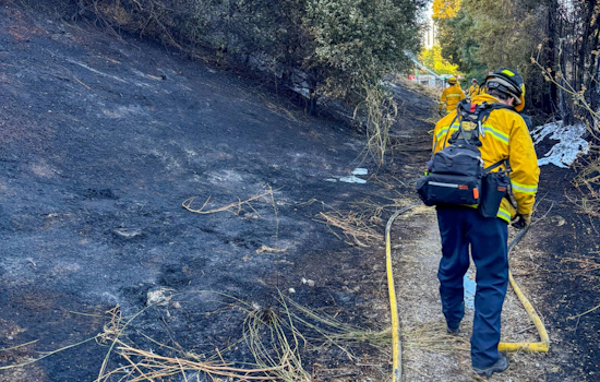 Quick-Response Firefighters Subdue Series of Blazes Along Highway 17 Near Campbell