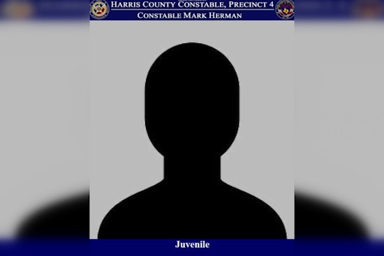 Quick-Thinking Residents Help Thwart Vehicle Burglary in Rosehill Reserve, Juvenile Charged