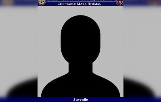 Quick-Thinking Residents Help Thwart Vehicle Burglary in Rosehill Reserve, Juvenile Charged