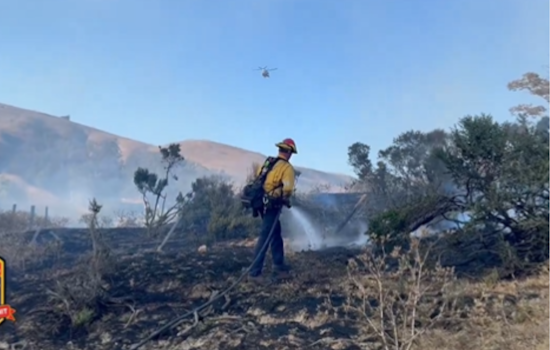 Rapid Firefighting Response Halts Southeast Napa County Wildfire, Road Closures Eased