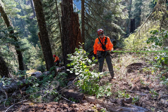 Remains of Missing Medford Man Graham Case Found After Year-Long Search