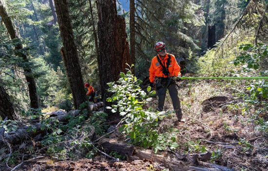 Remains of Missing Medford Man Graham Case Found After Year-Long Search