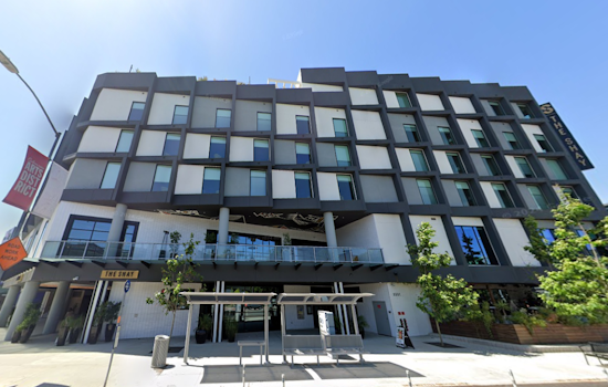 Renowned Chef José Andrés to Open New Zaytinya at Culver City's Shay Hotel in 2024