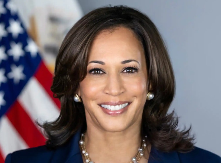 Republican Critics of Trump to Support Democrats at 2024 DNC in Chicago