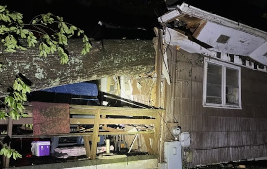 Resident Injured as Tree Collapses on House in East Knox County During Storm
