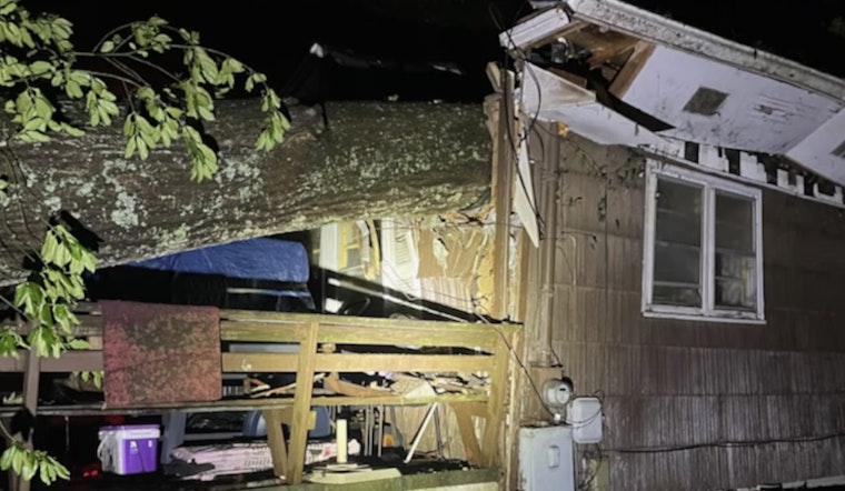 Resident Injured as Tree Collapses on House in East Knox County During Storm