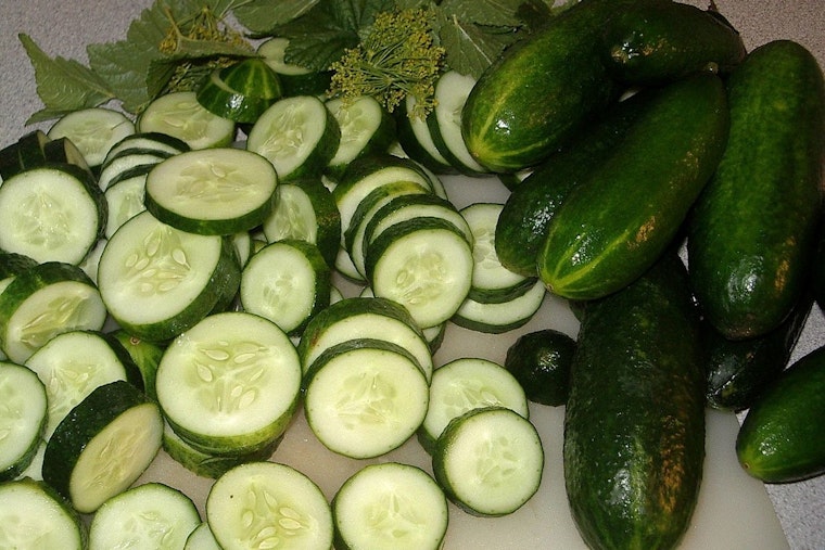 Salmonella Outbreak Linked to Florida Cucumbers Prompts CDC Investigation and Multi-State Recalls