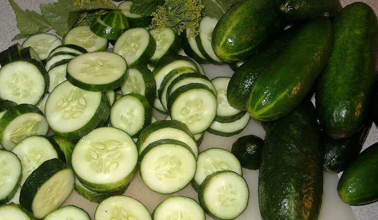 Salmonella Outbreak Linked to Florida Cucumbers Prompts CDC Investigation and Multi-State Recalls